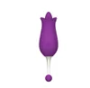 Viola