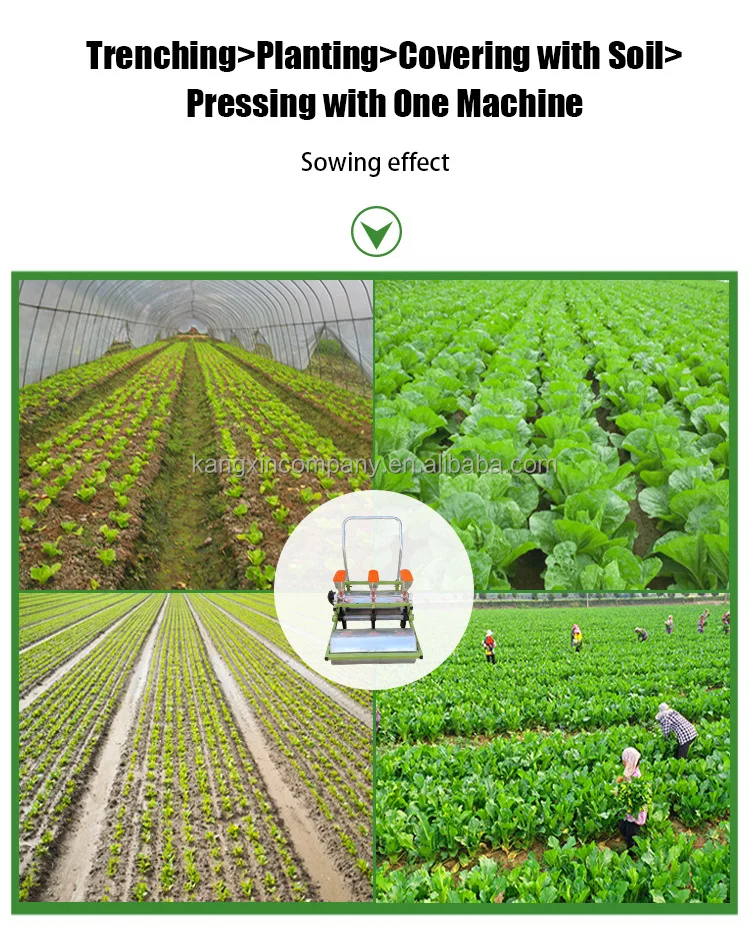 Vege Planting Machine Agricultural Vegetable Machinery Radish Cabbage Celery Green Onion ...