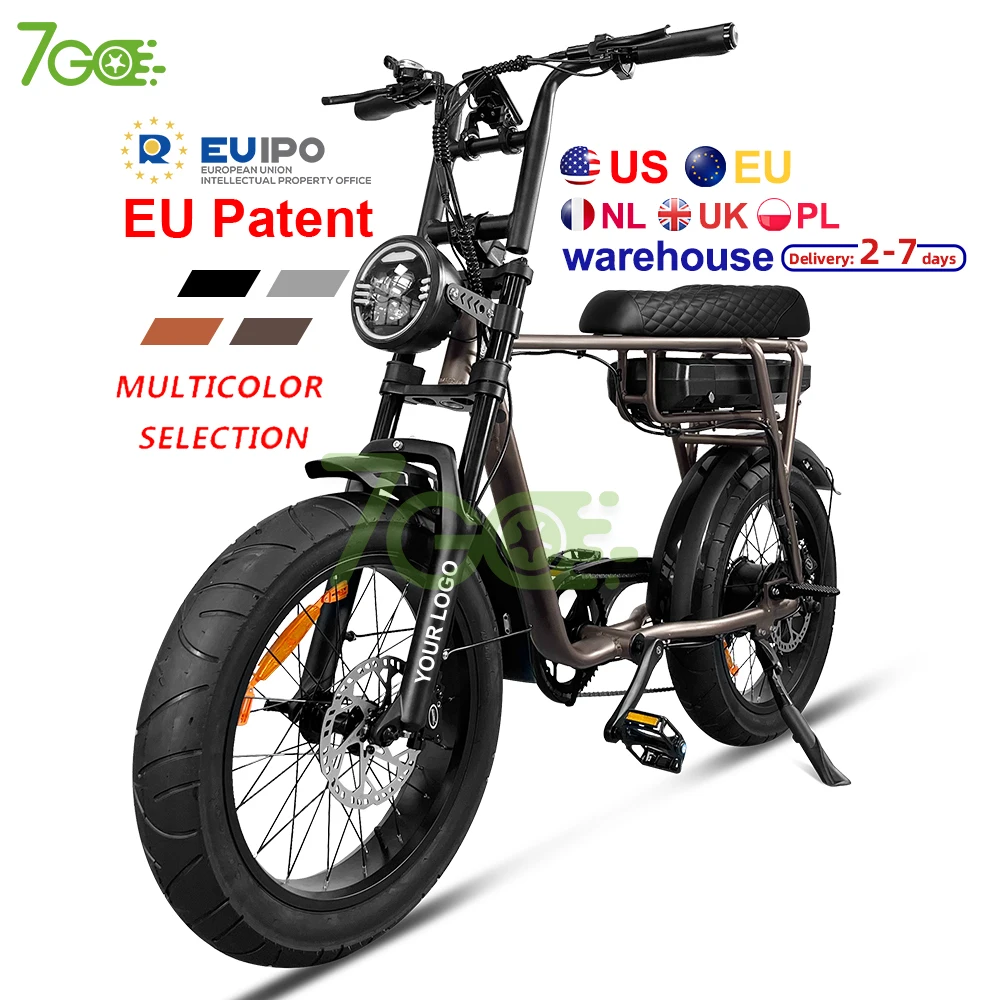 7Go EB4 EB2 sepeda listrik, kualitas bagus 20 ''48V 750W Fatbike  berpengalaman pasokan pabrik sepeda listrik