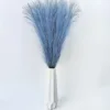 Blue-2