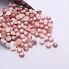 Conchiglia rosa