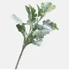 Verde chiaro