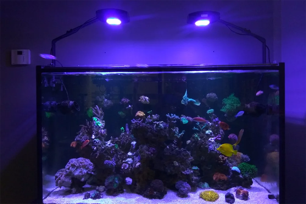 94W WiFi App Control Aqua Plus M8 LED Marine Aquarium Lighting LED Reef Light Sunrise and Sunset WIFI System