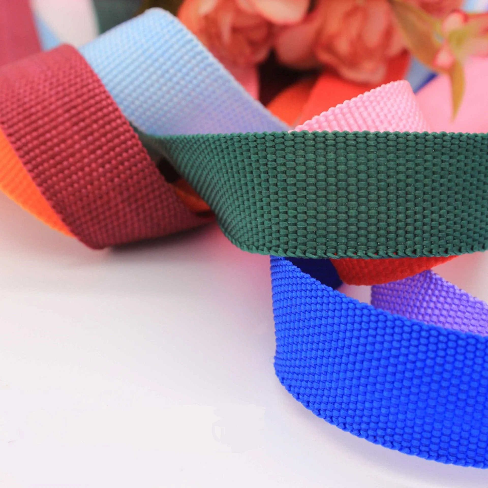 Nylon PP Polyester Webbing Strap for Bag and Belt Customized Size Logo Available