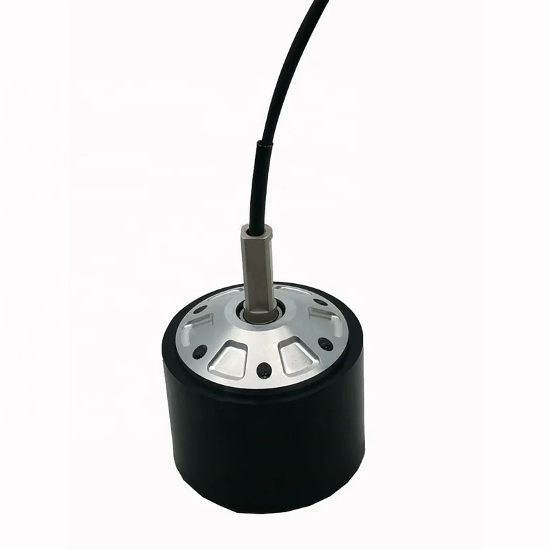 Waterproof and Shockproof 36V High Quality and Favorable Price Electric Wheel Hub Motor