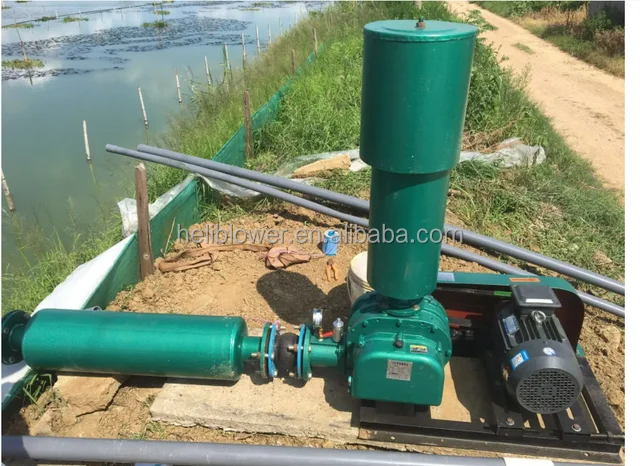 Roots Rotary Lobe Blower, 10hp, 220 V, 0.5~500m3 - detail 20