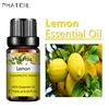 SY5522-10Lemon