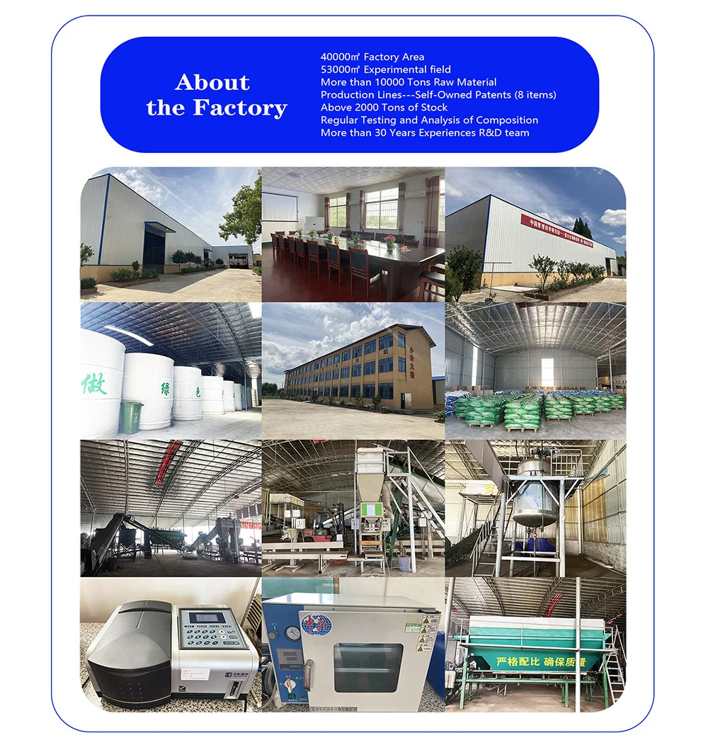 Комплексные ферменты 5L из ферментированных пробиотических добавленных фруктов бесплатный индивидуальный логотип для золотой