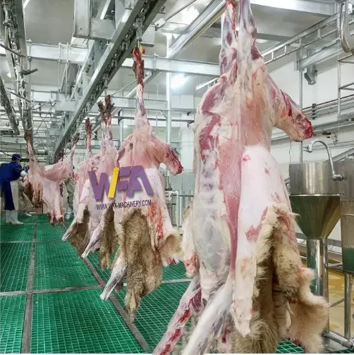 Customized Sheep Abattoir Equipment Slaughterhouse Goat Slaughtering ...
