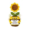 Orange (Bee sunflower potted plant)