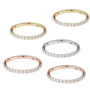 Implant Grade G23 Titanium Zircon Hinged Segment Ring Nose Piercing Septum Cartilage Fashion Titanium Body Jewelry for Women Men