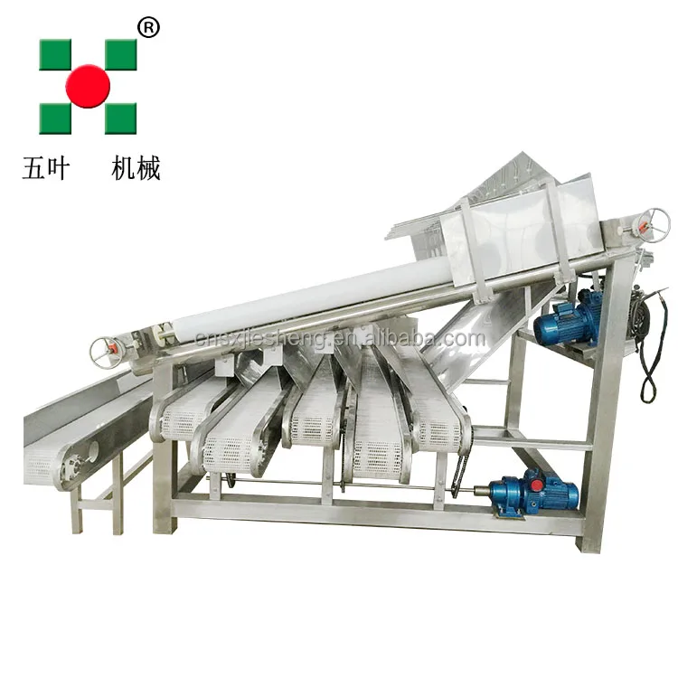 Shrimp Cleaning&Grading Machine Separator Grader Machine for Shrimp Production LineFood Processing Machine