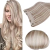 #P18/613 Ash Blonde Highlighted with Blonde