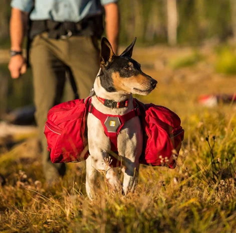 dog backpack harness for hiking