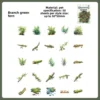 C Fougères vertes par les branches