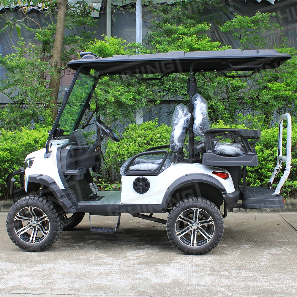 Shininglsv Electric 4-Passenger Chinese Golf Cart Single Cruiser for Canada Roads Manufactured in Japan