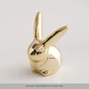 Mini lapin