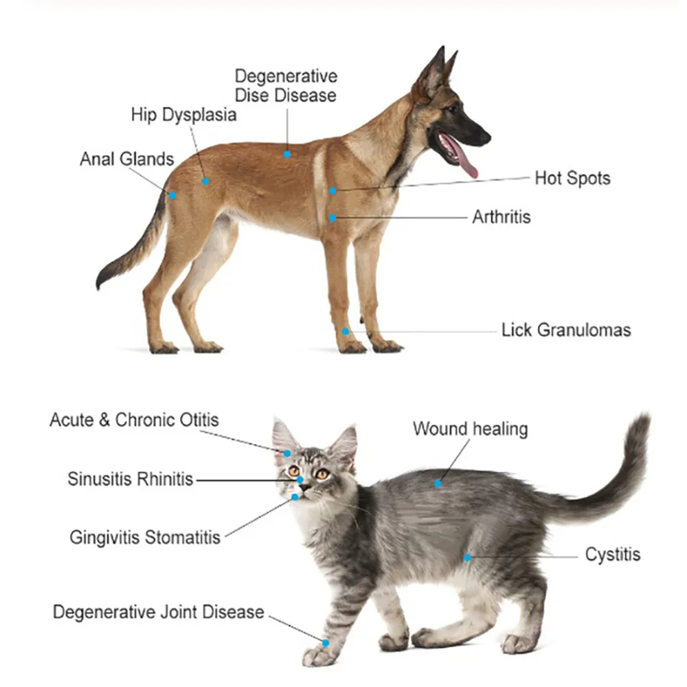 Best Quality Factory Direct Sale Handheld Plastic Veterinary Cold Laser Therapy Pets Effective Joint Pain Relief Dog Arthritis