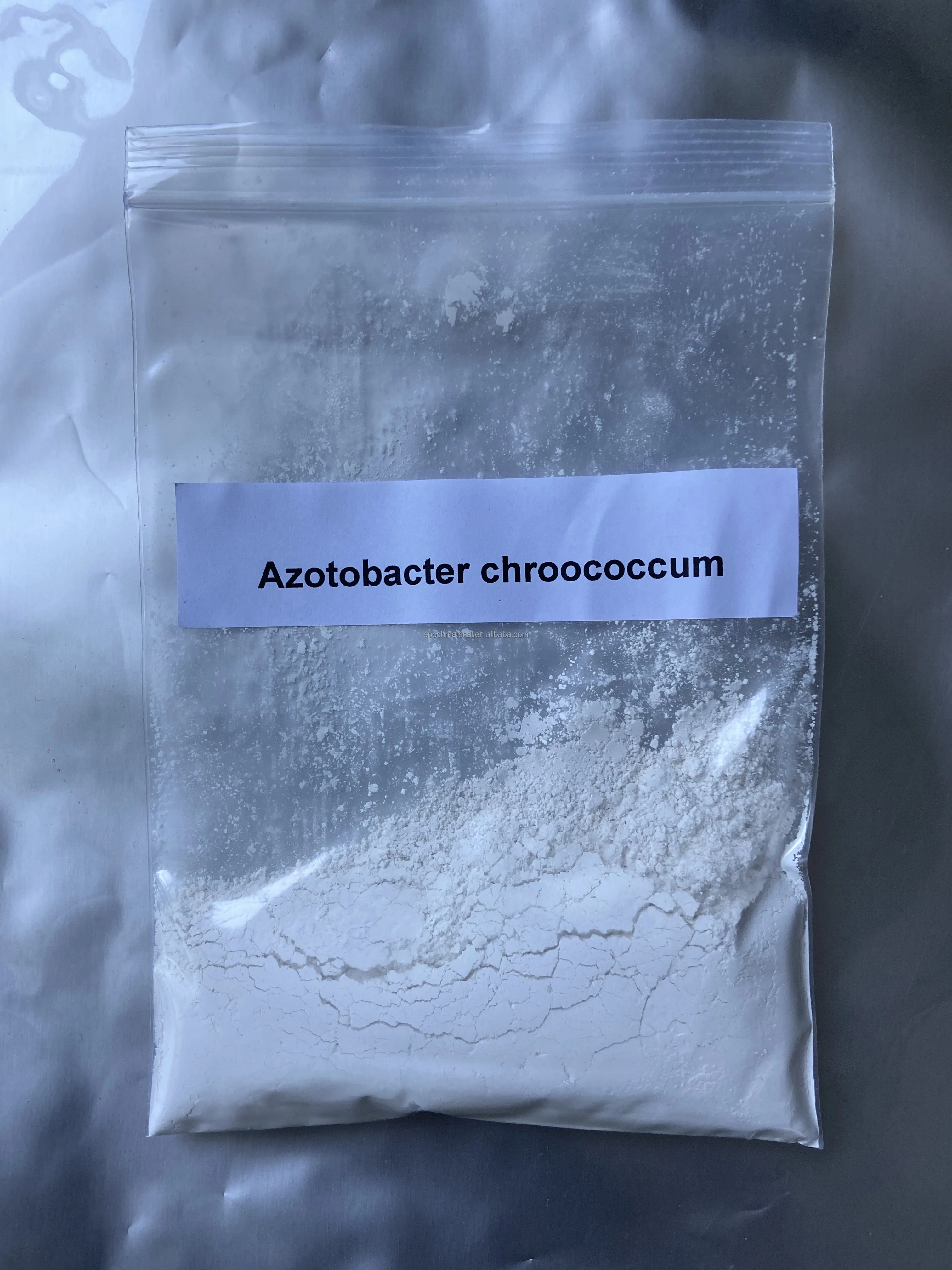 Azotobacter Chroococcum Powder - Fix Nitrogen Efficiently