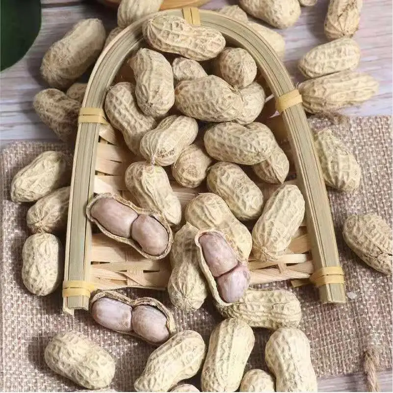 Promotional Various Good Quality in Shell Peanut Bulk Peanuts in Shell Chinese Cheapest Peanut in Shell
