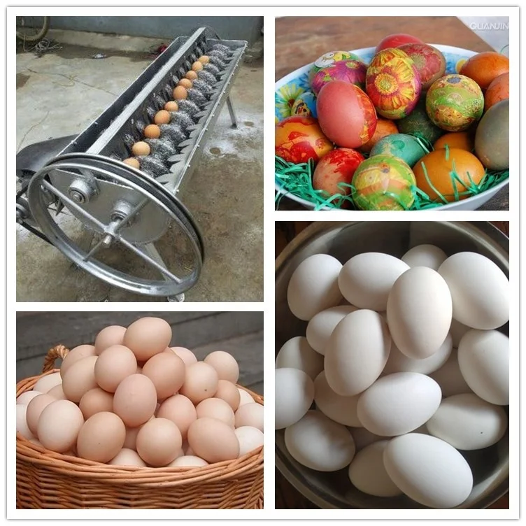 High Efficiency Automatic Egg Washing Machine