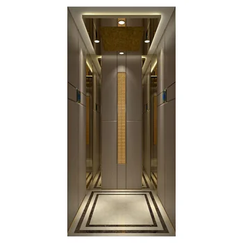 Customized Residential Elevator Apartment Elevator Villa House Lift Elevators