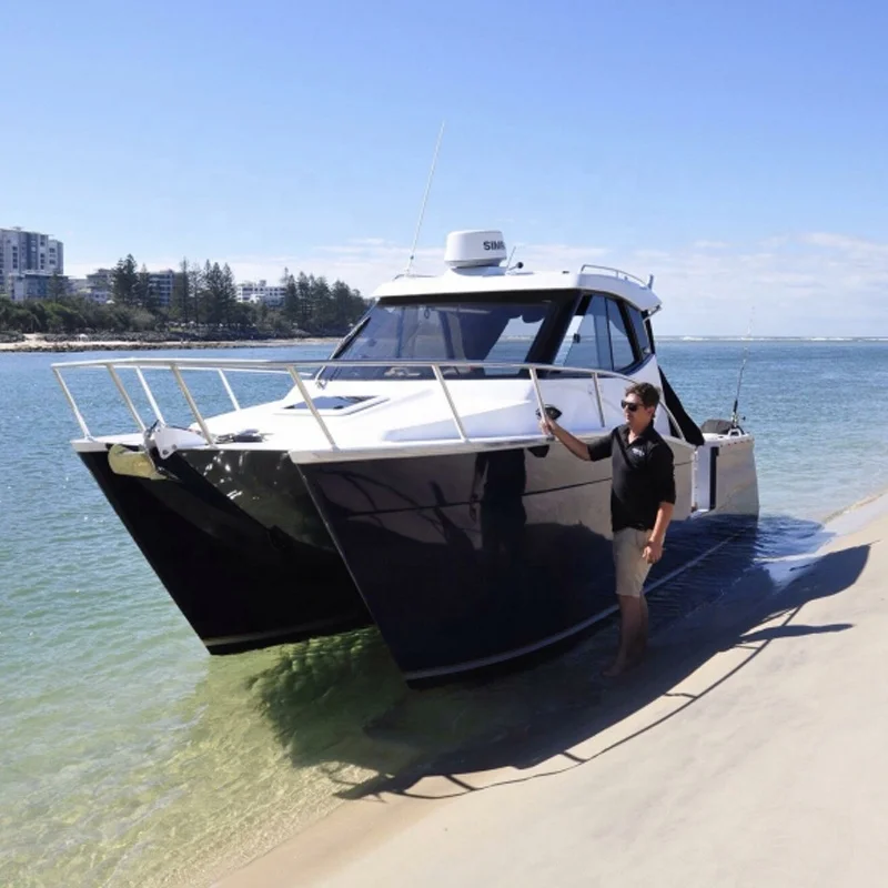 29FT Aluminum Boat Catamaran for Sale - China Catamaran and Catamaran Fishing  Boat price