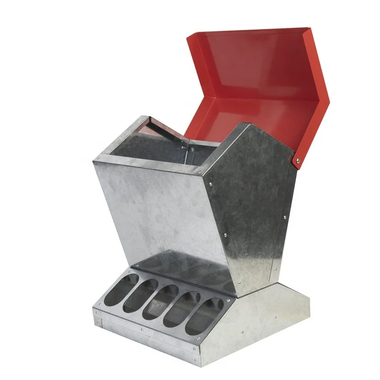 Automatic chicken outdoor galvanized iron poultry farm equipment