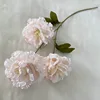 ดอกเอเดลไวส์ 3 หัว