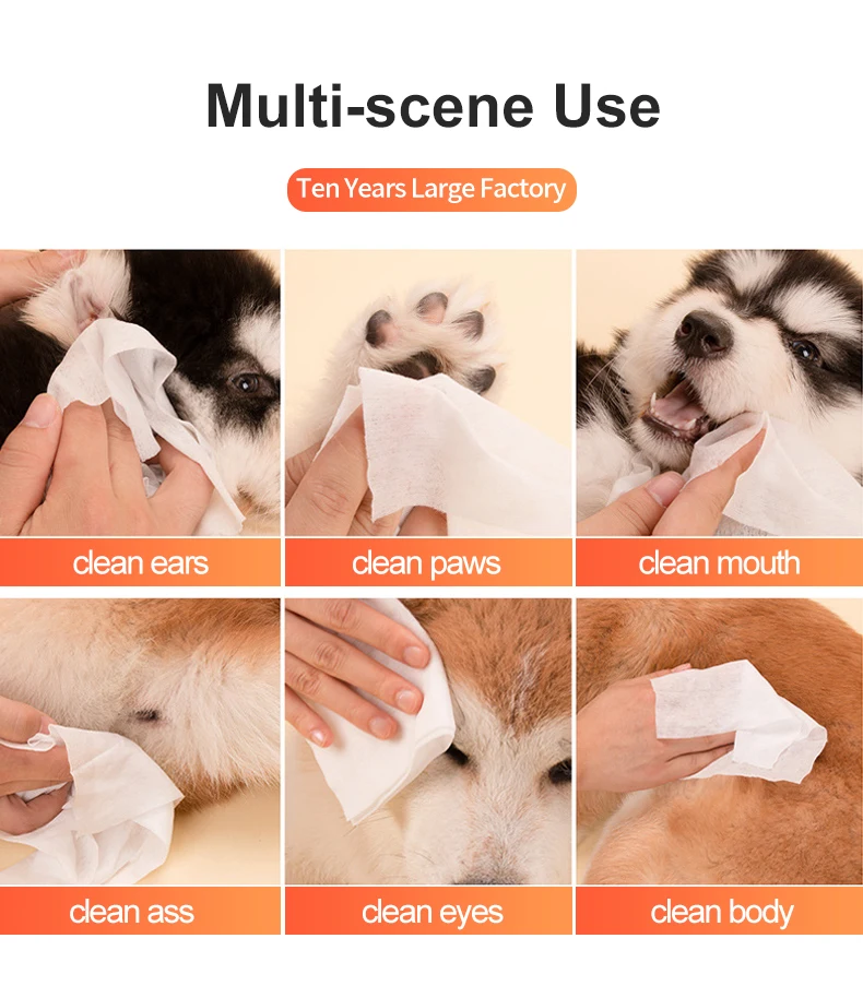 Factory Wholesale Pet Wipes Nonwoven Special Sanitising Cat Dog Tooth