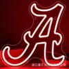 A33.5X33.5cm