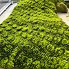 Green-011