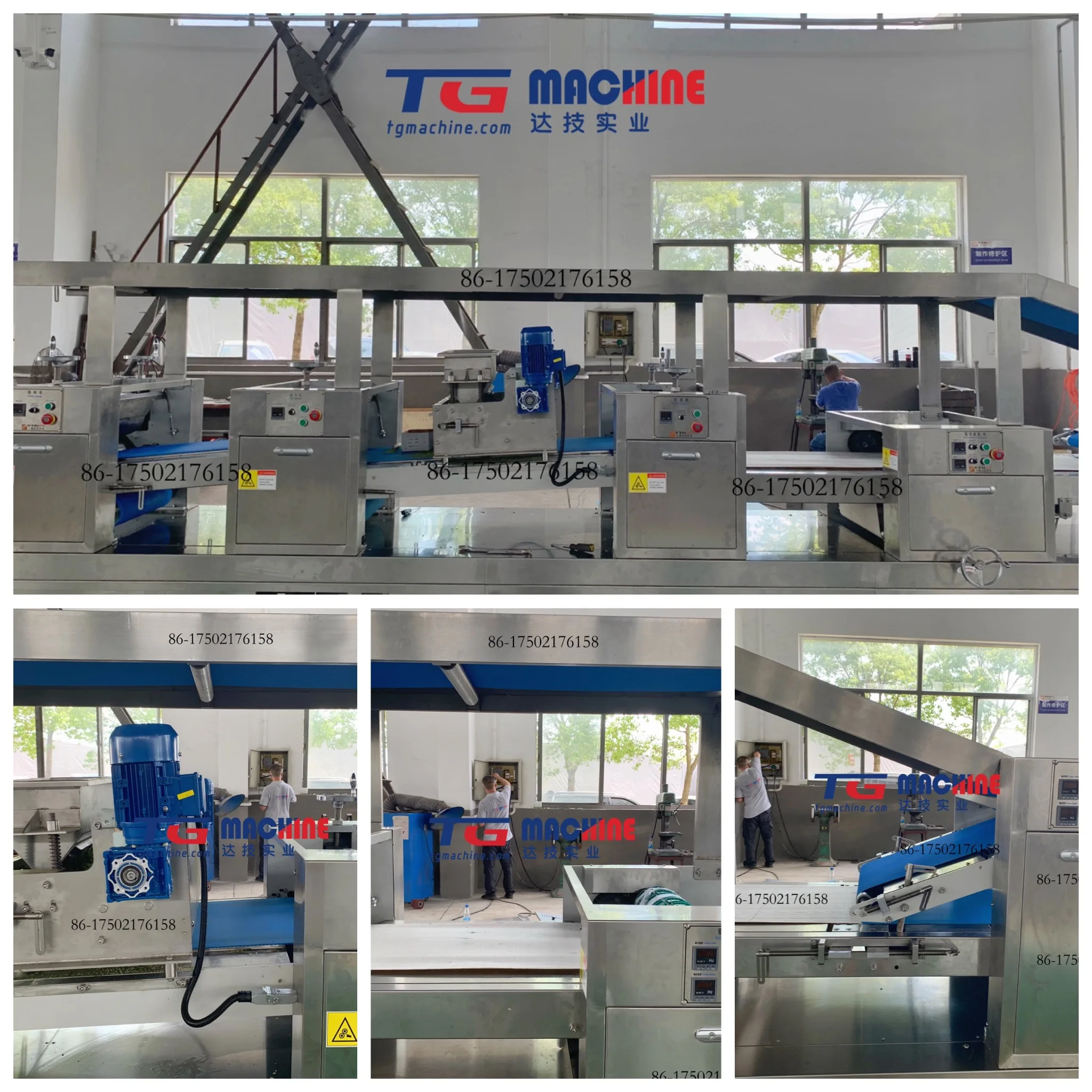 Лидер продаж, линия по производству печенья TG BCM для производства печенья