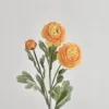 Arancione