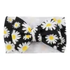 black daisy