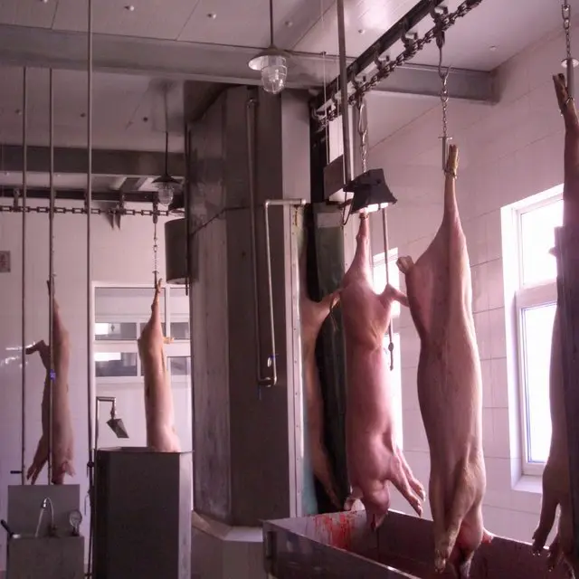Pig house cleaning machine is used in pig farm slaughterhouse equipment: