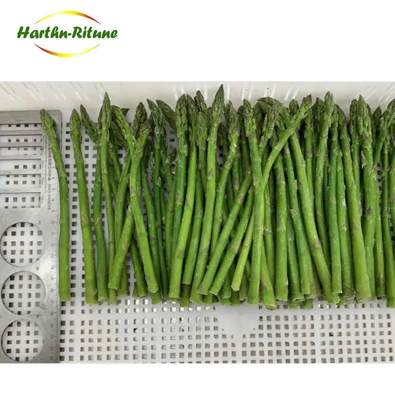 High Quality IQF Frozen Fresh Asparagus Frozen Vegetables for Wholesale 10kg Per Carton