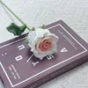 Blanco y Rosa Nude