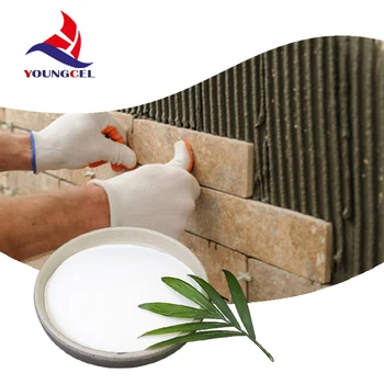 Super September Best grade construction high viscosity wall putty tile adhesive chemical powder hydroxypropyl methyl cellulose