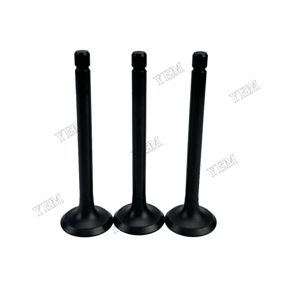 Intake Valve 120176250 Fit for Perkins 403D-11 Engine 2