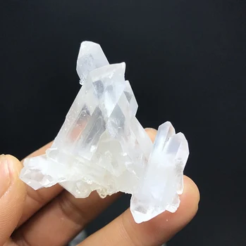 Natural Clear Quartz Healing White Crystal Cluster Mineral Specimen