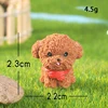 Brown Teddy
