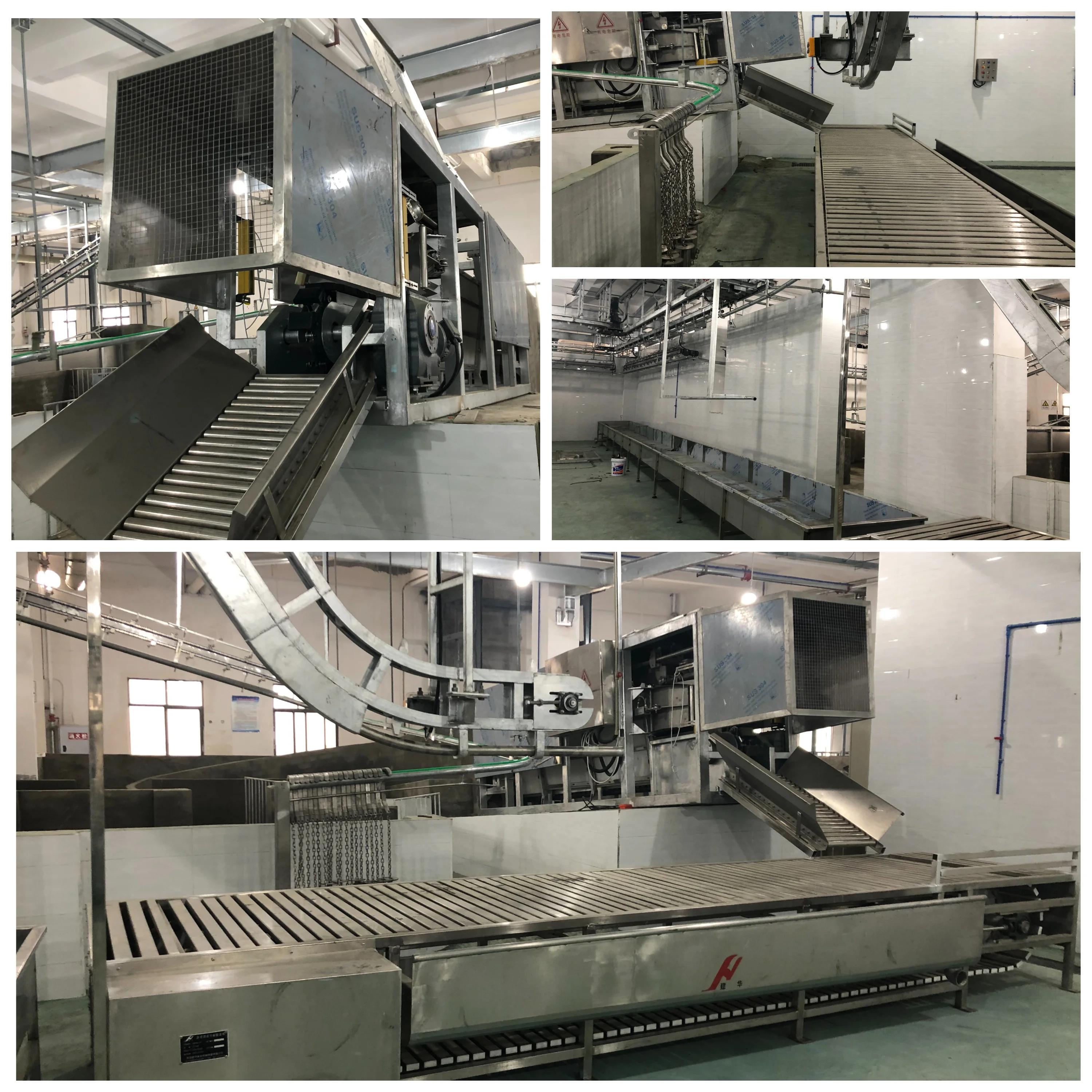New complete pig slaughtering equipment for slaughterhouses and meat processing plants