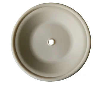 CF02-1010-58 Diaphragm