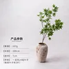 ก้านเวอร์ชันที่เข้ารหัสสีเขียวหนึ่งอัน