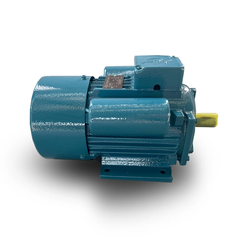 YCL Series 50hz 60hz 1440rpm 110v 220v induction AC motor 1.5kw 2hp single phase electric motors