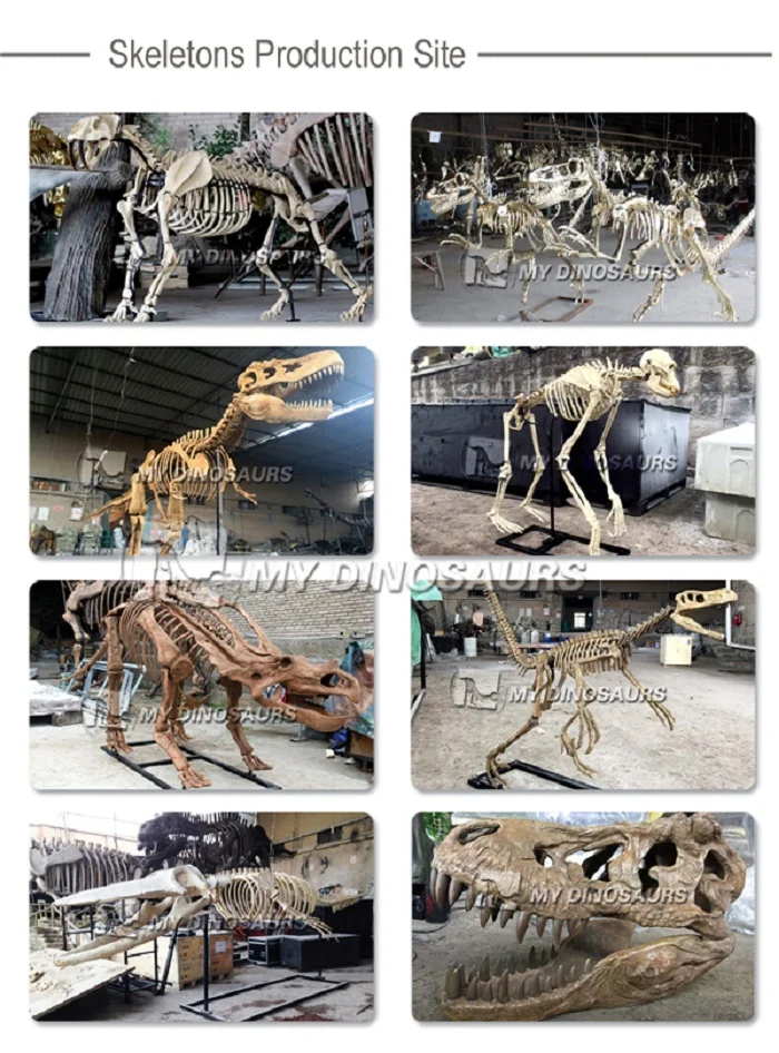 MY Dino DS078化石掘削サイト恐竜化石骨埋設シーン| Alibaba.com