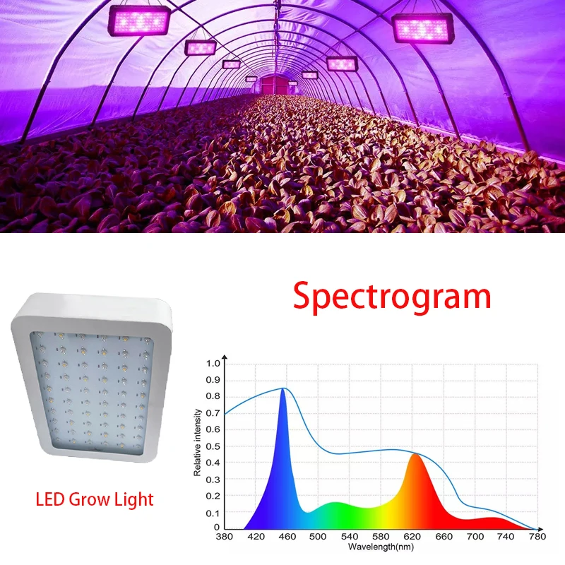 Indoor Cultivation Full Spectrum Led Grow Light Flower Plant Growth