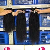 Kinky Curly