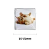 Square50*50mm